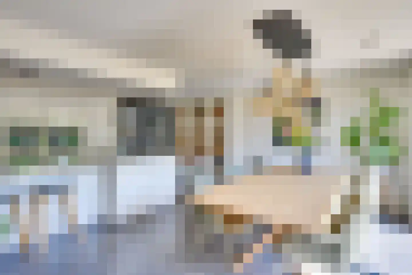 den Hoge Hurk 13 Helmond thumbnail 24