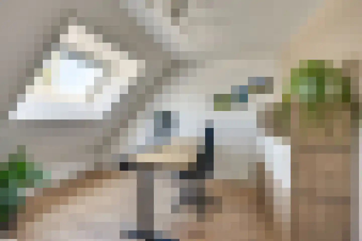 den Hoge Hurk 13 Helmond thumbnail 39