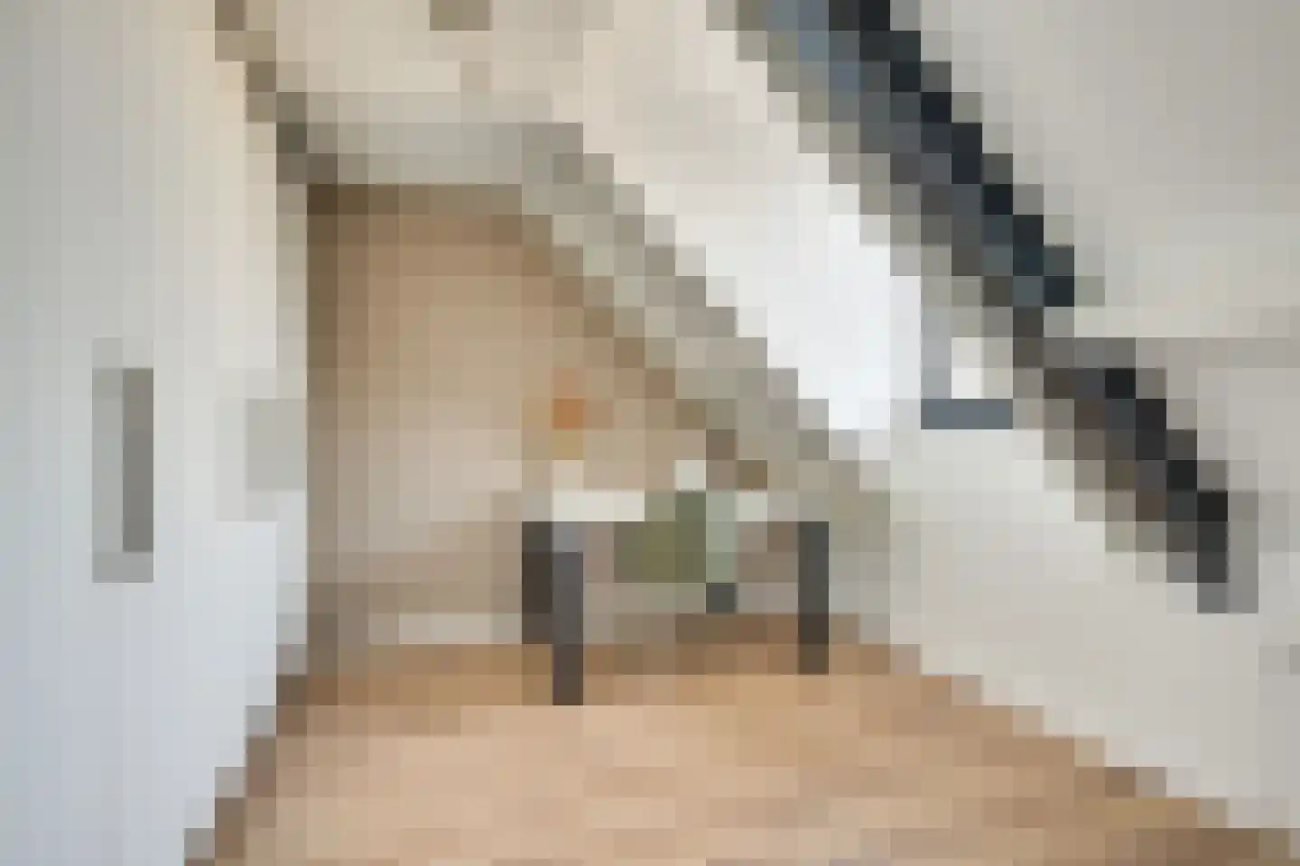 den Hoge Hurk 13 Helmond thumbnail 41