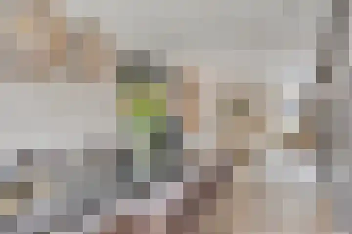 den Hoge Hurk 6 Helmond thumbnail 17
