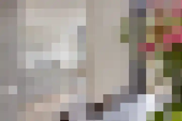 den Hoge Hurk 6 Helmond thumbnail 18