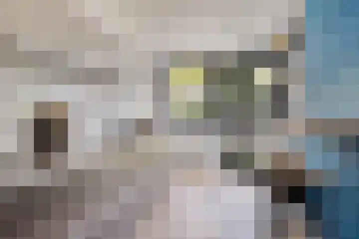 den Hoge Hurk 6 Helmond thumbnail 19