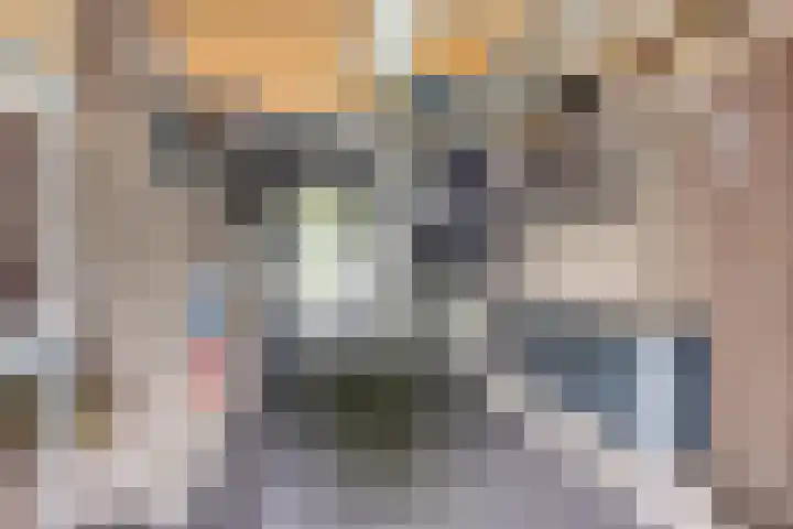 den Hoge Hurk 6 Helmond thumbnail 23