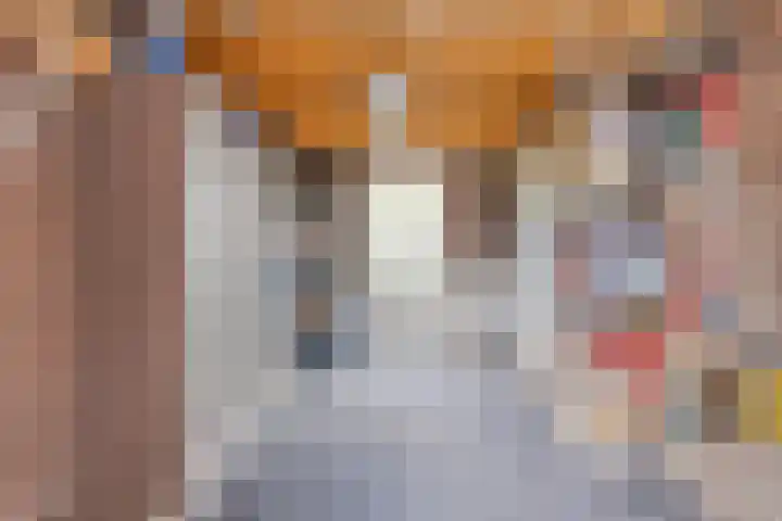 den Hoge Hurk 6 Helmond thumbnail 24