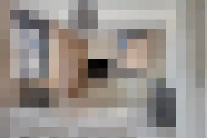 den Hoge Hurk 6 Helmond thumbnail 27