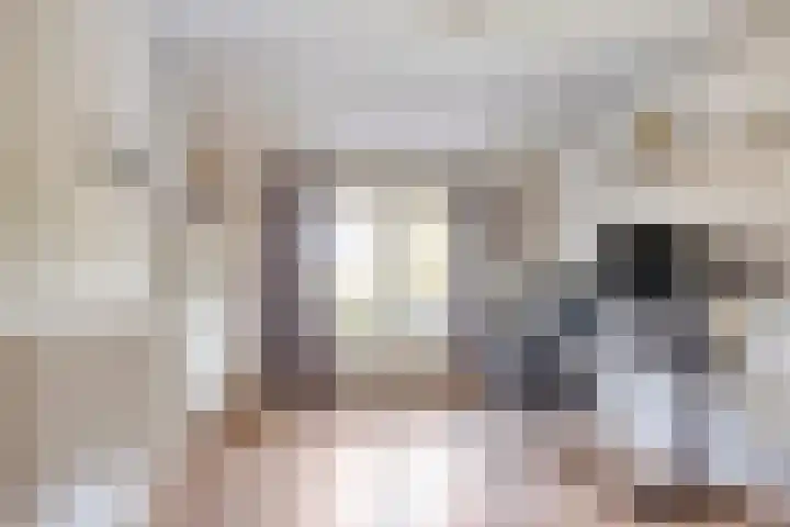 den Hoge Hurk 6 Helmond thumbnail 32