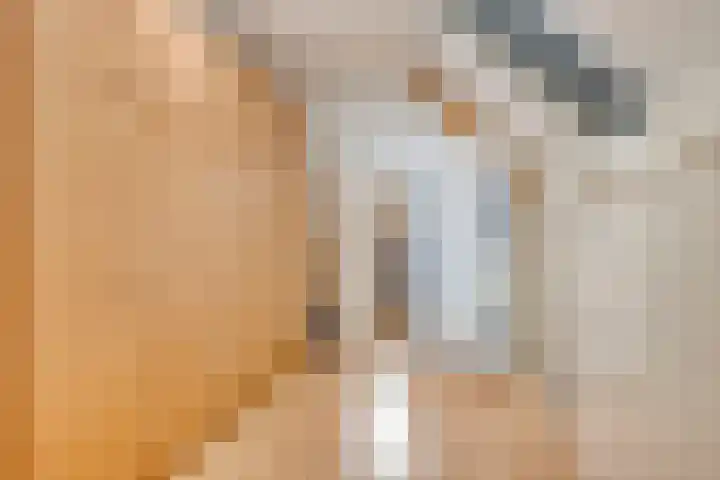 den Hoge Hurk 6 Helmond thumbnail 35
