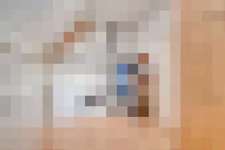 den Hoge Hurk 6 Helmond thumbnail 36