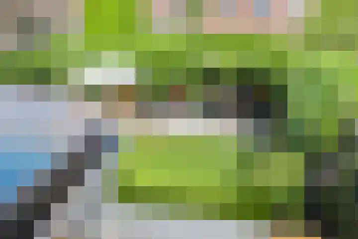 den Hoge Hurk 6 Helmond thumbnail 37