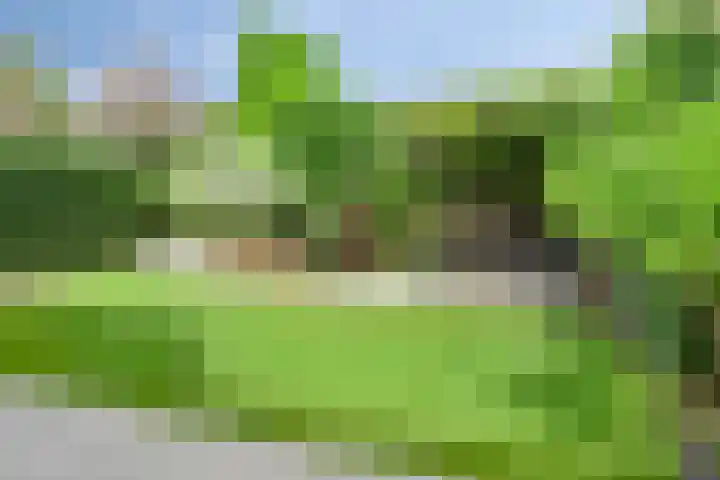 den Hoge Hurk 6 Helmond thumbnail 38