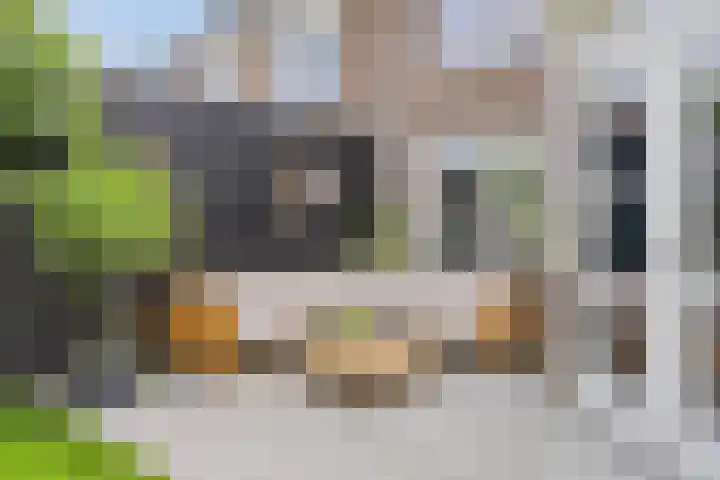 den Hoge Hurk 6 Helmond thumbnail 40