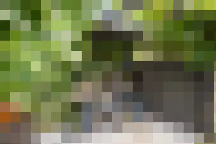 den Hoge Hurk 6 Helmond thumbnail 41