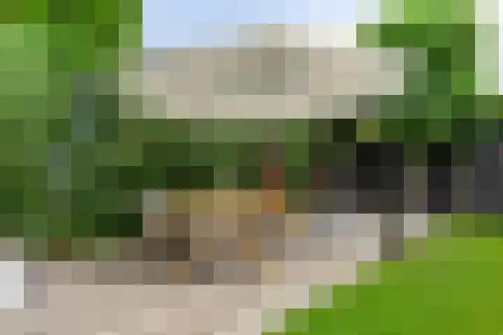 den Hoge Hurk 6 Helmond thumbnail 42