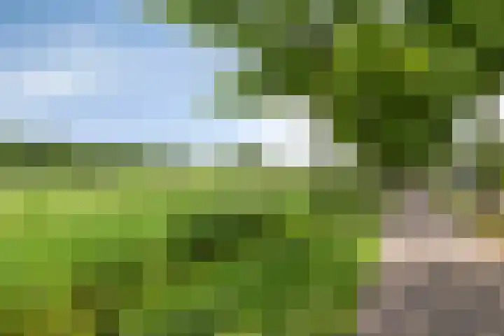 den Hoge Hurk 6 Helmond thumbnail 43