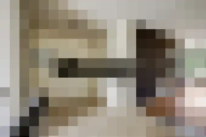Den Hoogenbeemd 6 Meijel thumbnail 12