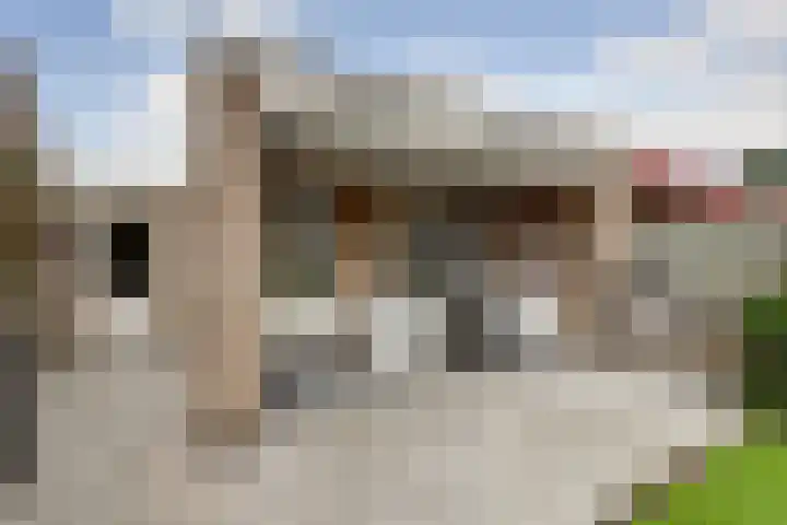 Den Hoogenbeemd 6 Meijel thumbnail 28