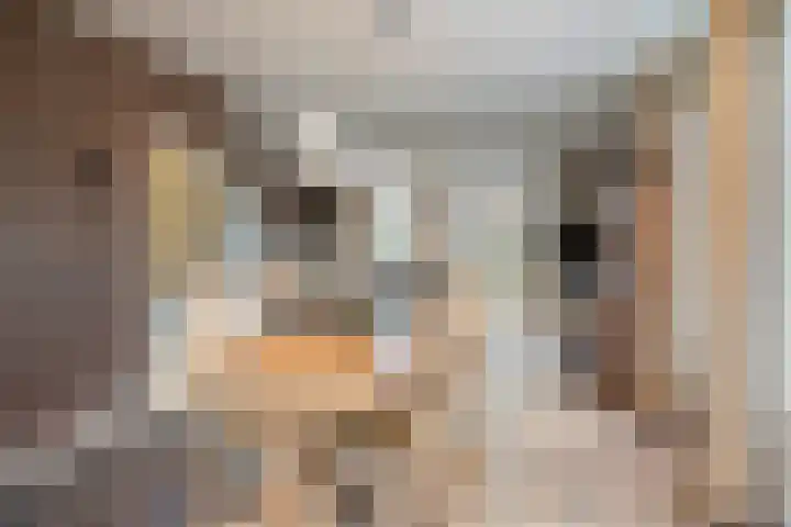 Den Hoogenkant 10 Nuland thumbnail 11