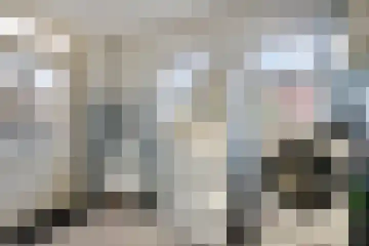 Den Hoogenkant 10 Nuland thumbnail 16