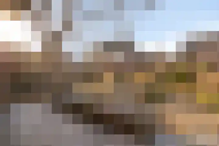 Den Hoogenkant 10 Nuland thumbnail 28