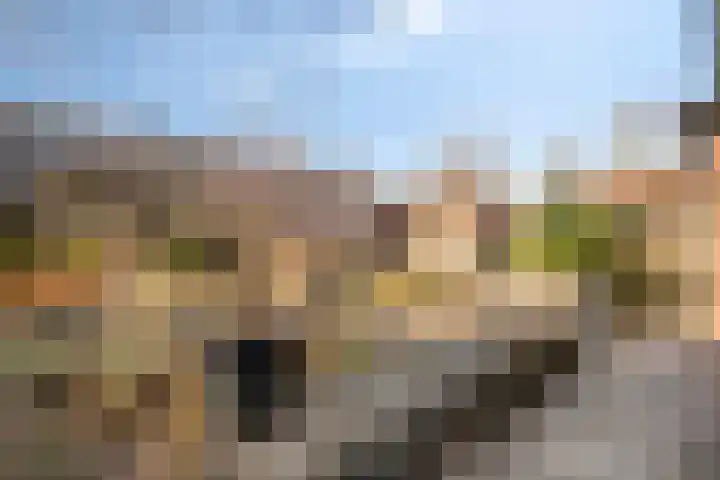 Den Hoogenkant 10 Nuland thumbnail 30