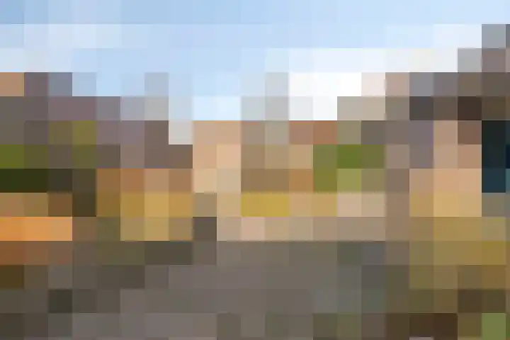 Den Hoogenkant 10 Nuland thumbnail 31