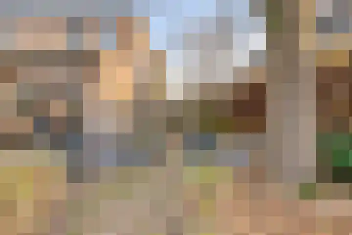 Den Hoogenkant 10 Nuland thumbnail 32