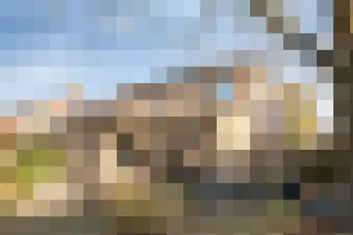 Den Hoogenkant 10 Nuland thumbnail 34