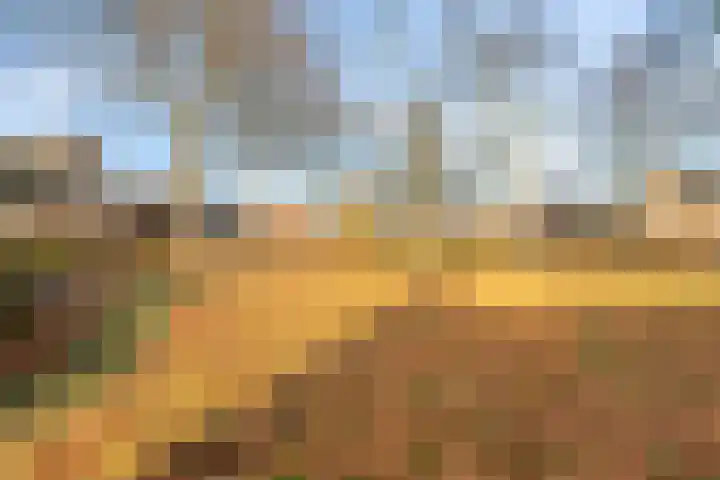 Den Hoogenkant 10 Nuland thumbnail 35