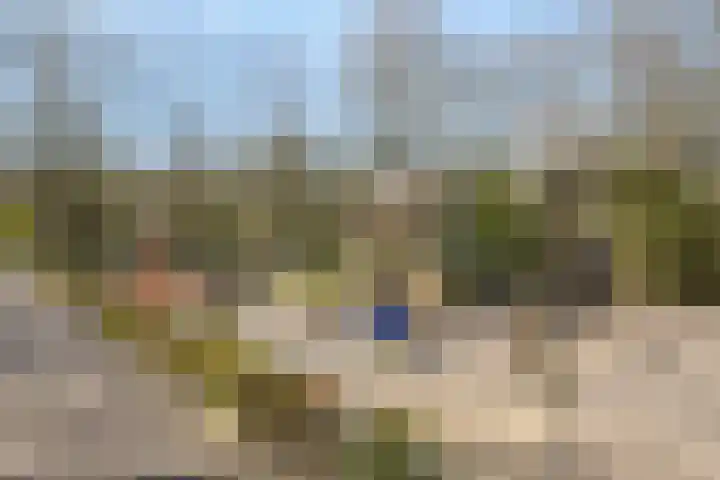 Den Hoogenkant 10 Nuland thumbnail 36