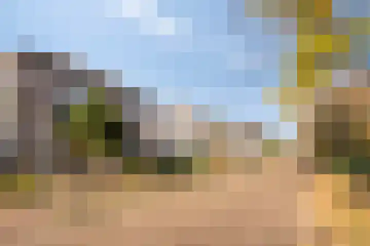 Den Hoogenkant 10 Nuland thumbnail 38