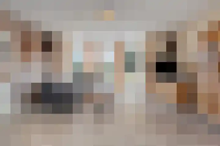Den Hoogenkant 10 Nuland thumbnail 5