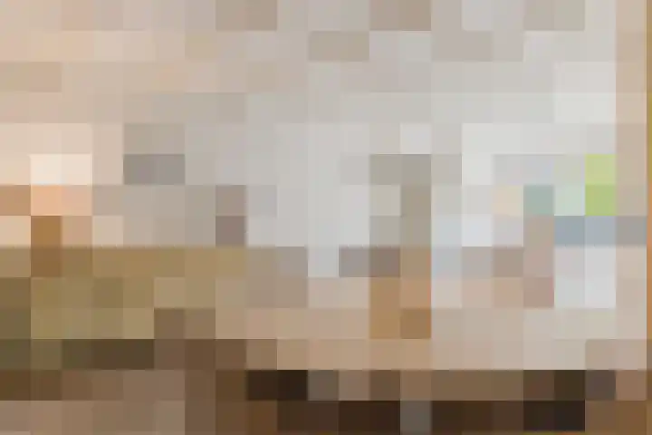 Den Hooiberg 26 Rijsbergen thumbnail 16