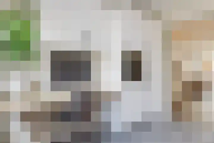 Den Hooiberg 26 Rijsbergen thumbnail 20