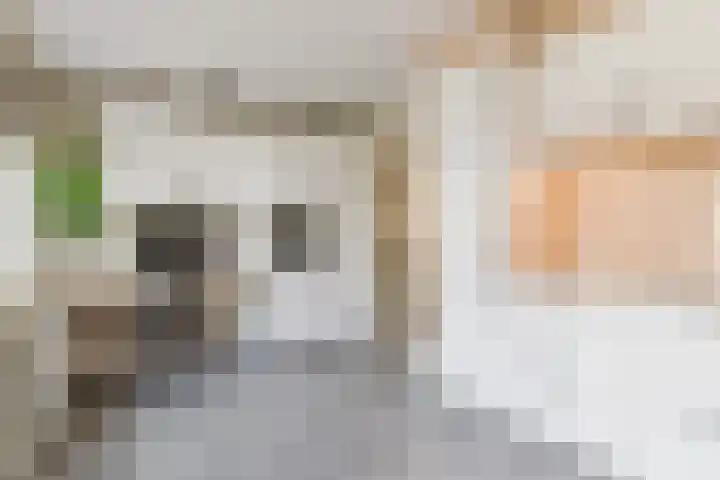 Den Hooiberg 26 Rijsbergen thumbnail 23