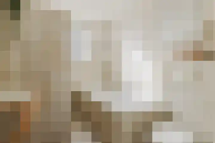 Den Hooiberg 26 Rijsbergen thumbnail 25