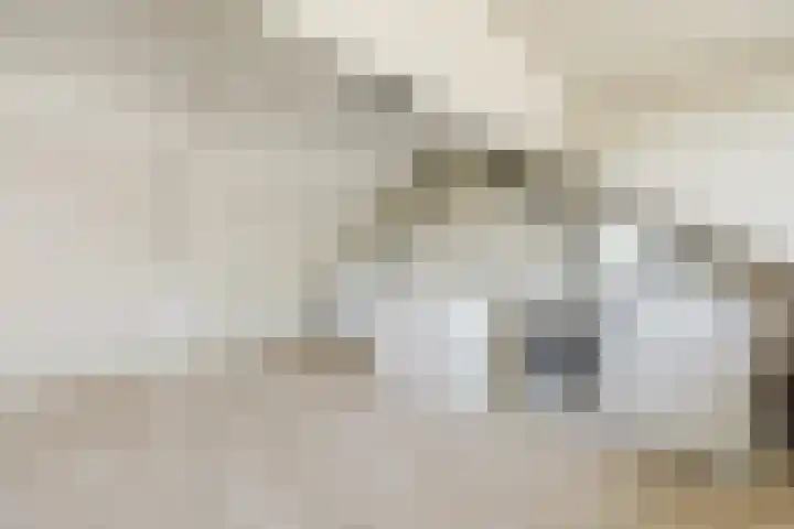 Den Hooiberg 26 Rijsbergen thumbnail 34