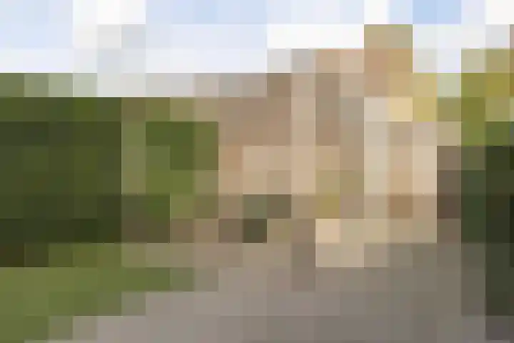 Den Hooiberg 26 Rijsbergen thumbnail 37