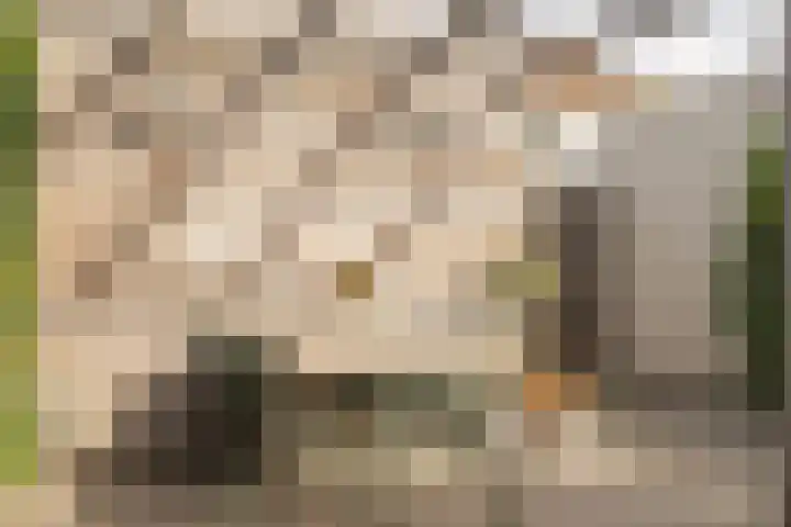 Den Hooiberg 26 Rijsbergen thumbnail 38