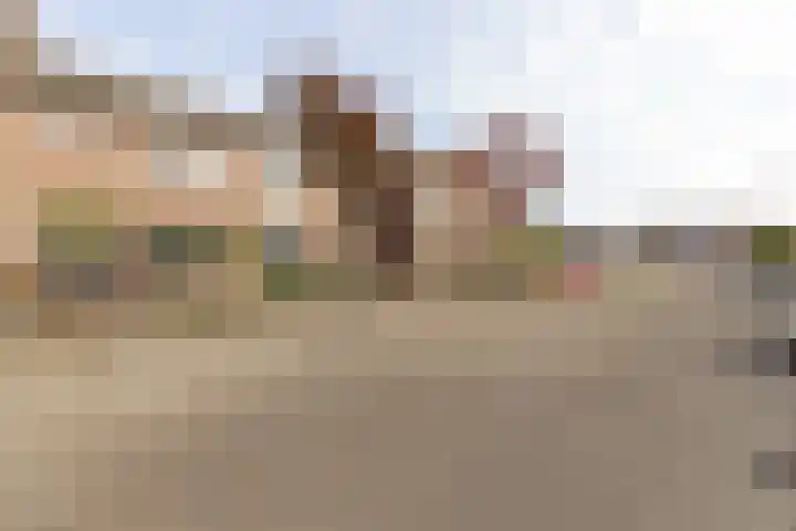 Den Hooiberg 26 Rijsbergen thumbnail 40