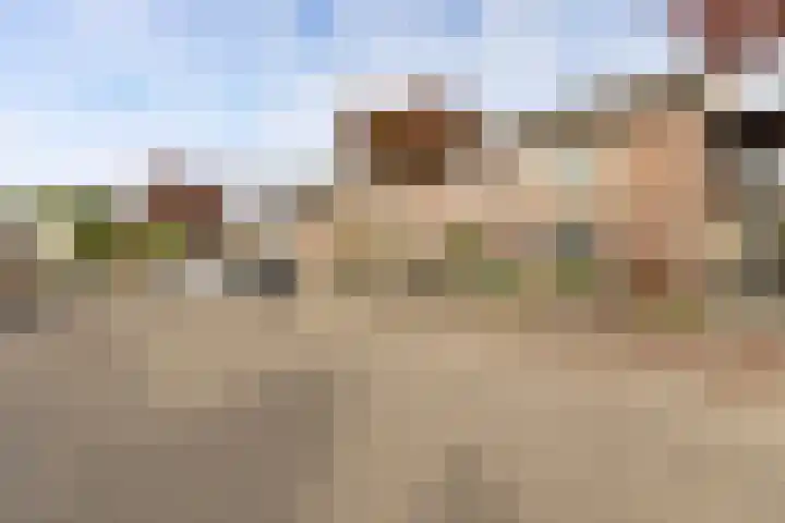 Den Hooiberg 26 Rijsbergen thumbnail 41