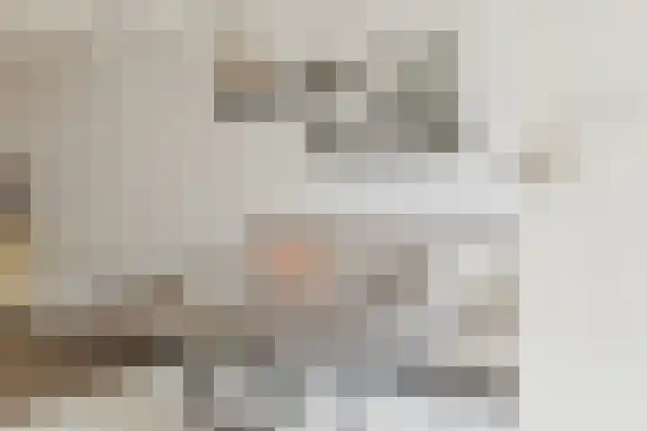 Den Hooiberg 26 Rijsbergen thumbnail 9