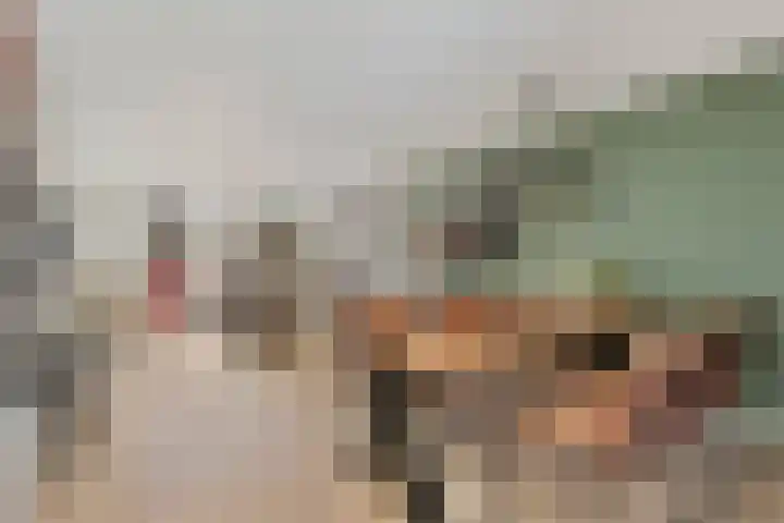 Den Hooiberg 92 Rijsbergen thumbnail 12
