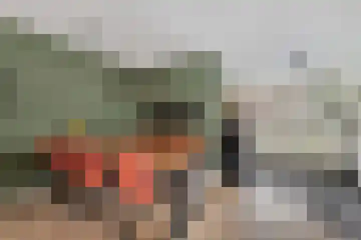 Den Hooiberg 92 Rijsbergen thumbnail 15