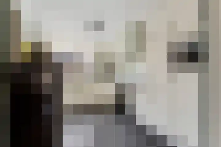 Den Hooiberg 92 Rijsbergen thumbnail 16