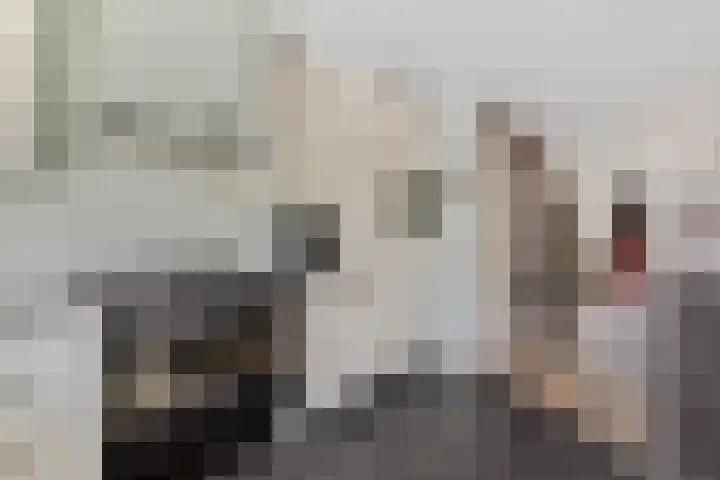 Den Hooiberg 92 Rijsbergen thumbnail 18