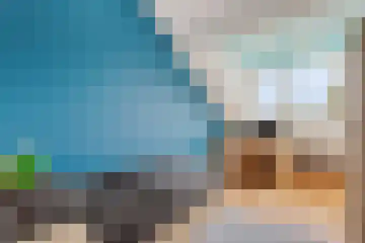 Den Hooiberg 92 Rijsbergen thumbnail 27