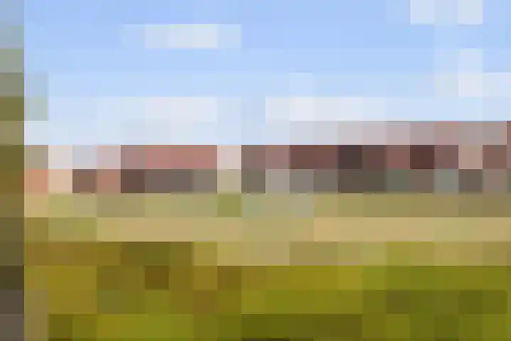 Den Hooiberg 92 Rijsbergen thumbnail 33