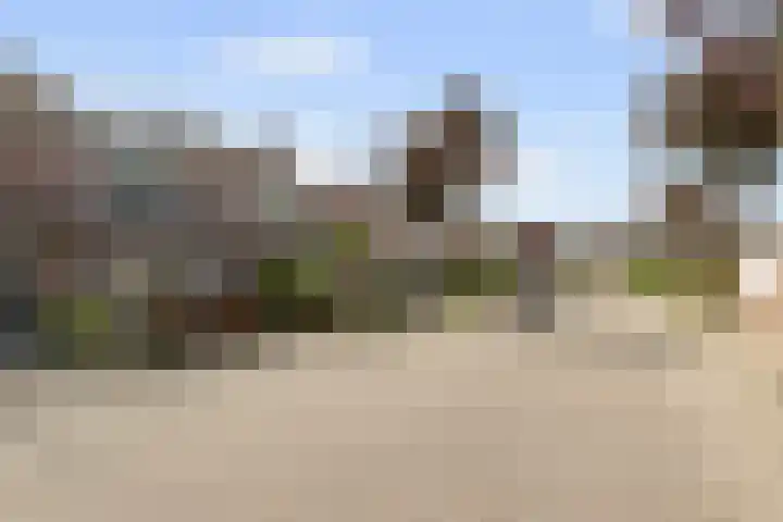 Den Hooiberg 92 Rijsbergen thumbnail 34