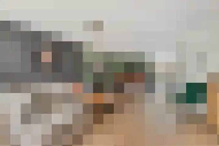 Den Hooiberg 92 Rijsbergen thumbnail 8