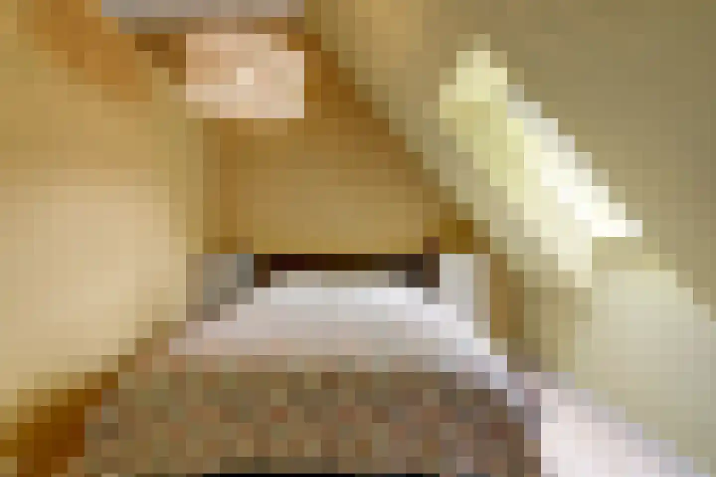 Den Hool 5 Holsloot thumbnail 15